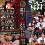 AV IPZZ-052